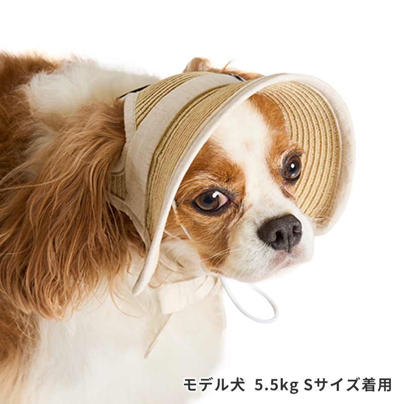 ペーパーストローハット