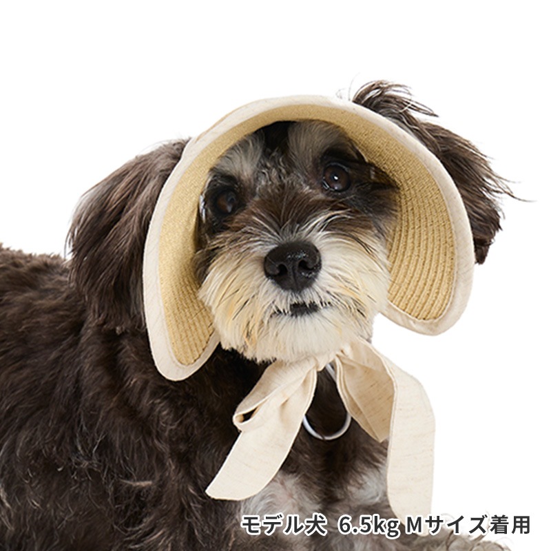 ペーパーストローハット