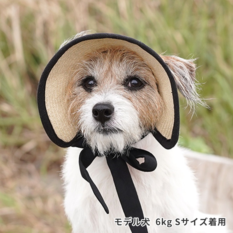 ペーパーストローハット