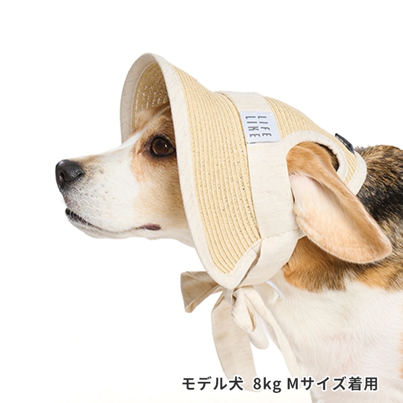 ペーパーストローハット