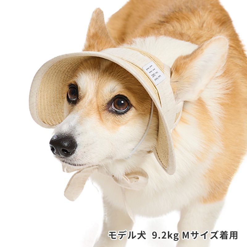 ペーパーストローハット