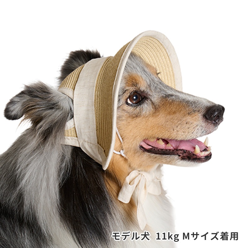 ペーパーストローハット