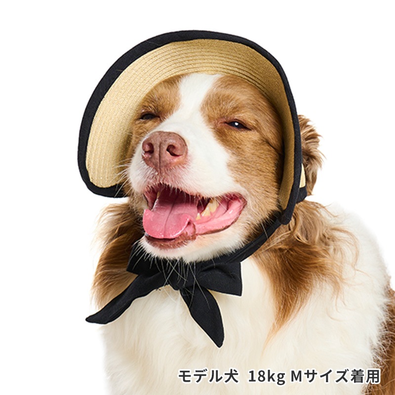 ペーパーストローハット