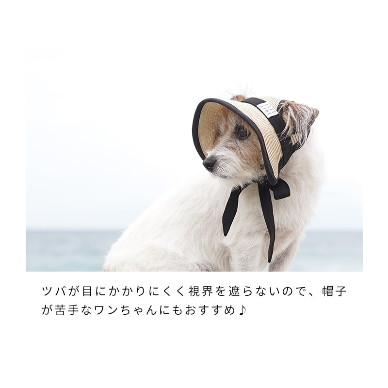 ペーパーストローハット