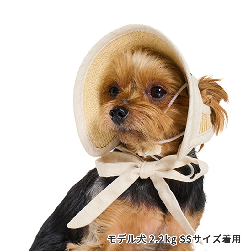 ペーパーストローハット