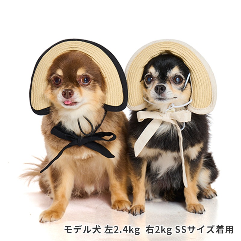 ペーパーストローハット