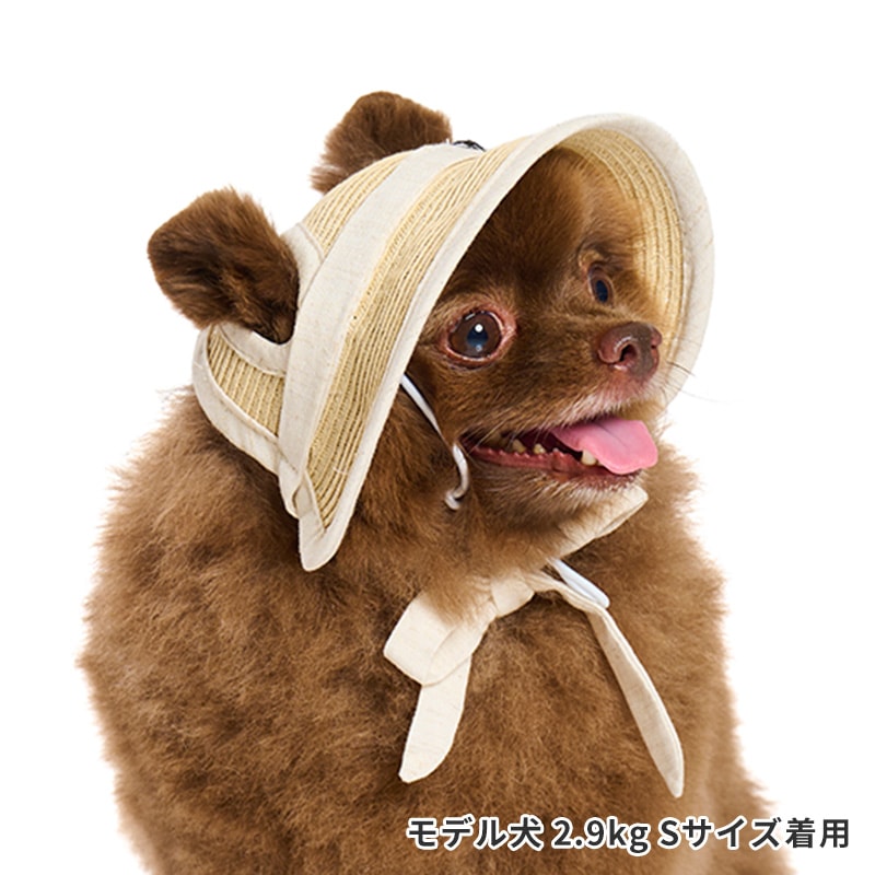 ペーパーストローハット