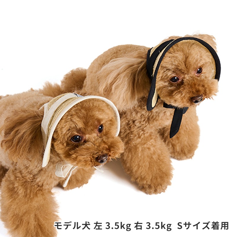 ペーパーストローハット