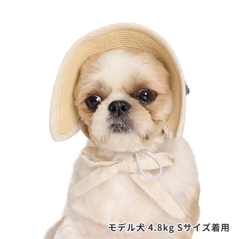 ペーパーストローハット