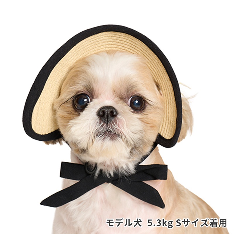 ペーパーストローハット