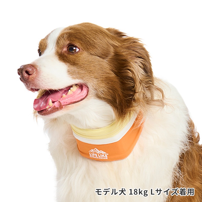 ICEマウンテンバンダナ | ALL（全ての商品） | LIFE LIKE 【犬服グッズ