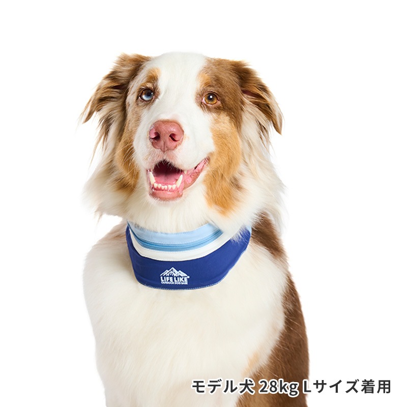 ICEマウンテンバンダナ