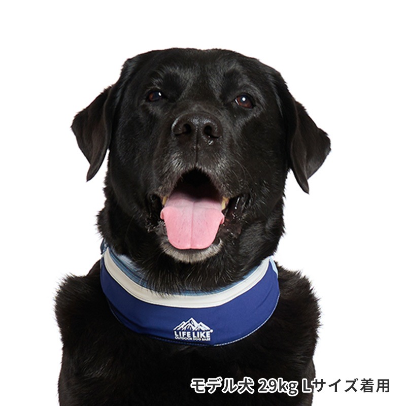 ICEマウンテンバンダナ | ALL（全ての商品） | LIFE LIKE 【犬服グッズ