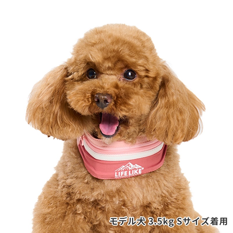 ICEマウンテンバンダナ | ALL（全ての商品） | LIFE LIKE 【犬服グッズ