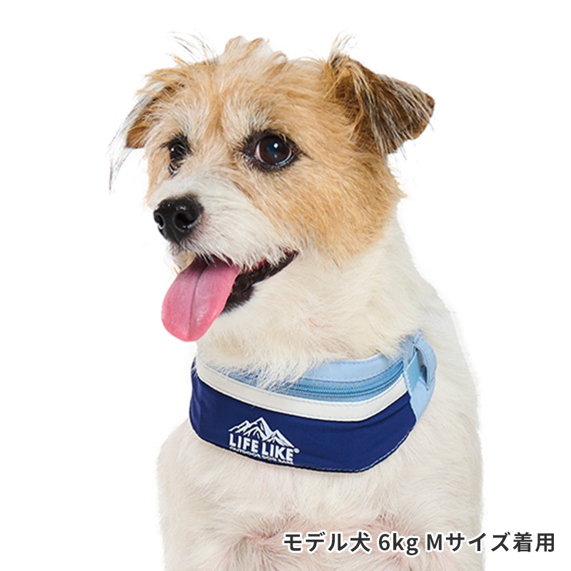 ICEマウンテンバンダナ | ALL（全ての商品） | LIFE LIKE 【犬服グッズ