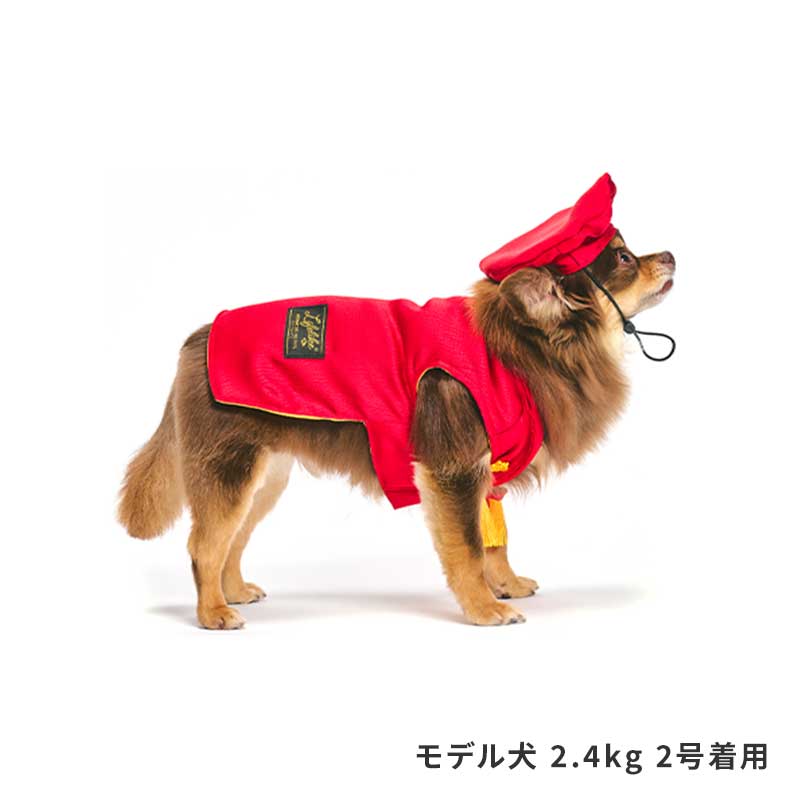 還暦お祝いセット | Celebration（ハレの日グッズ） | LIFE LIKE 【犬