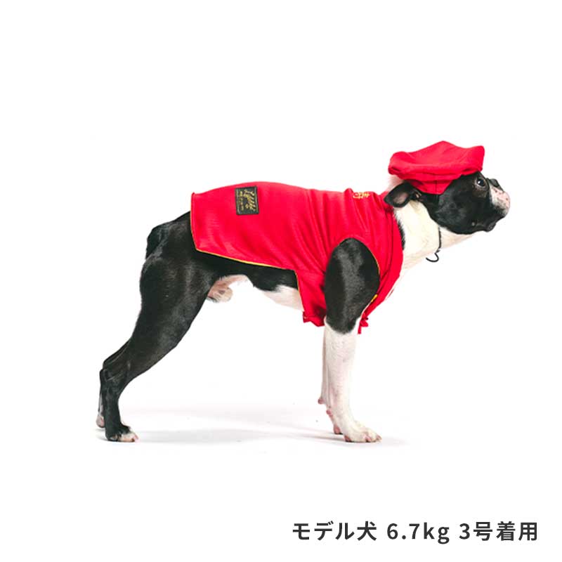 還暦お祝いセット | Celebration（ハレの日グッズ） | LIFE LIKE 【犬