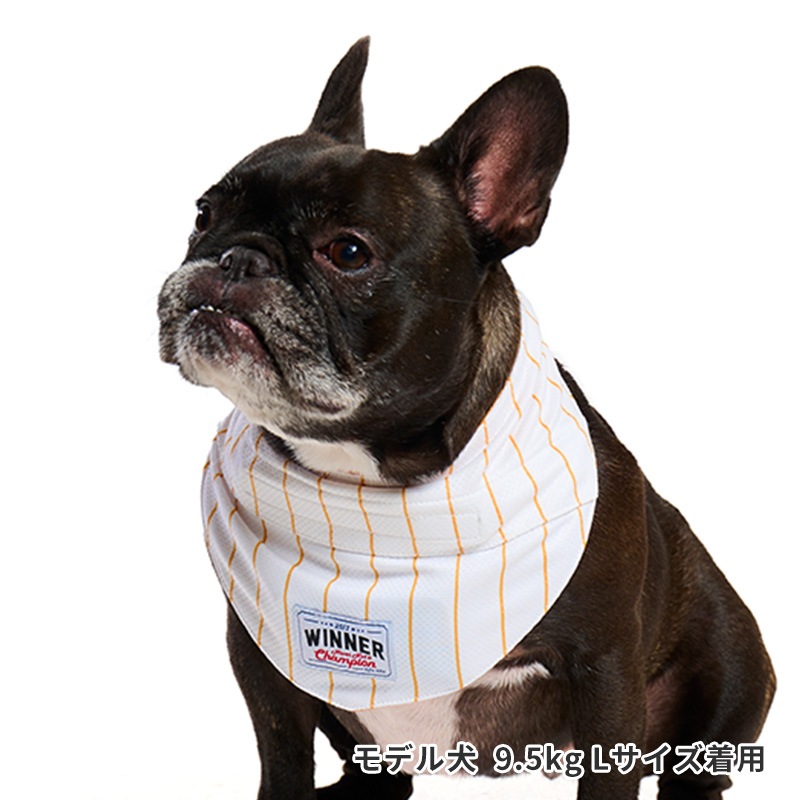 ベースボールバンダナ