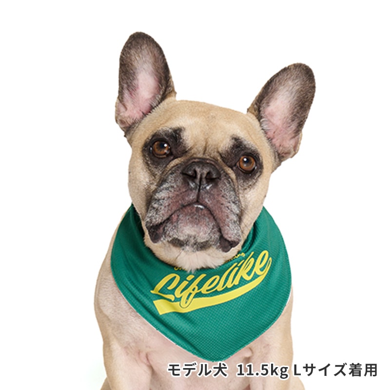 ベースボールバンダナ