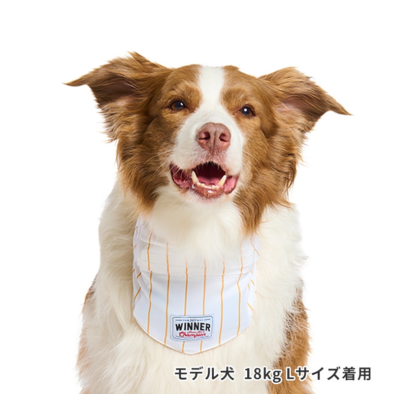 ベースボールバンダナ