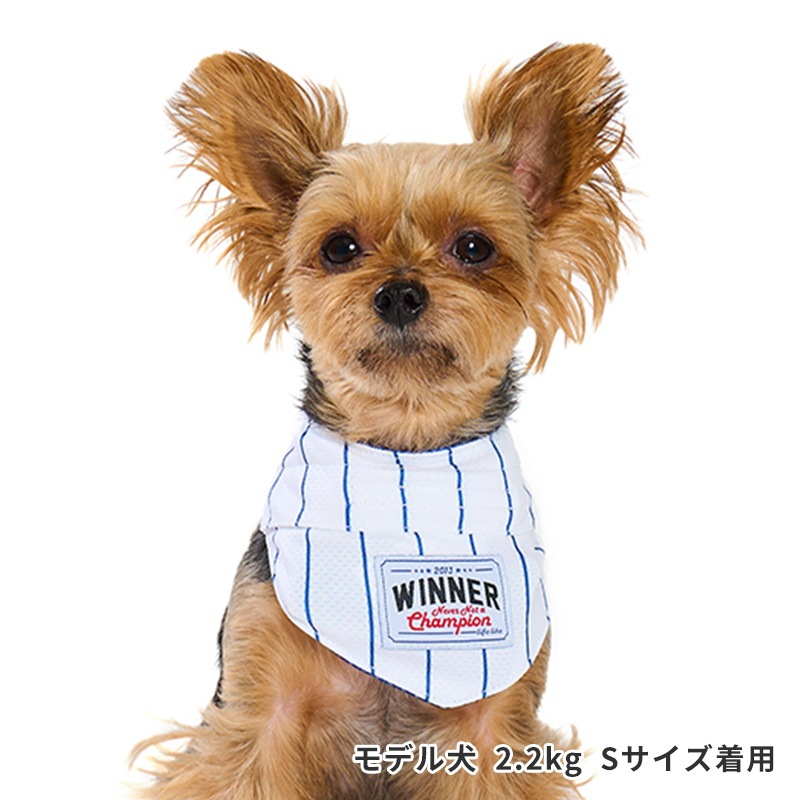 ベースボールバンダナ