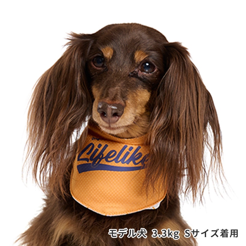 ベースボールバンダナ