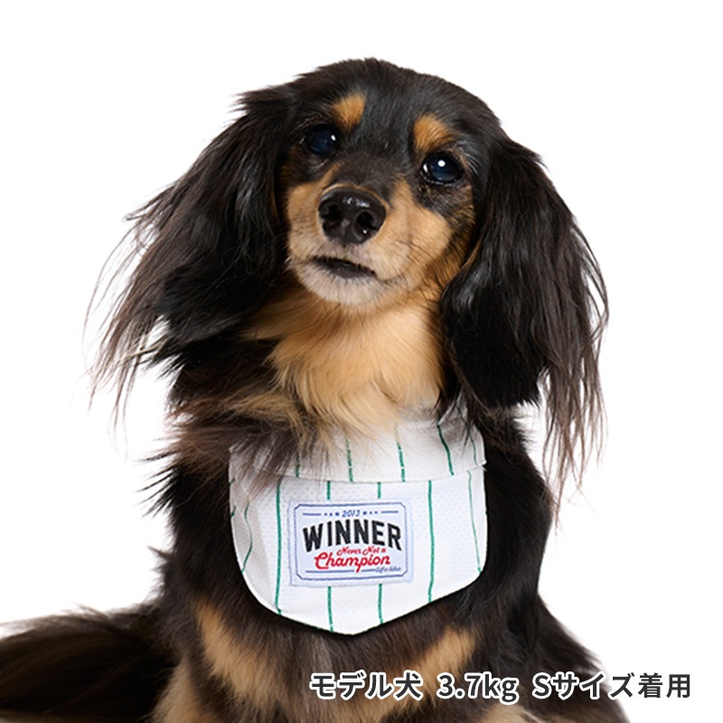 ベースボールバンダナ