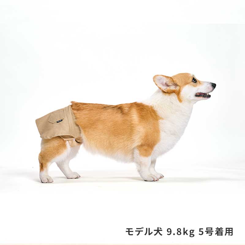 サニタリースカート