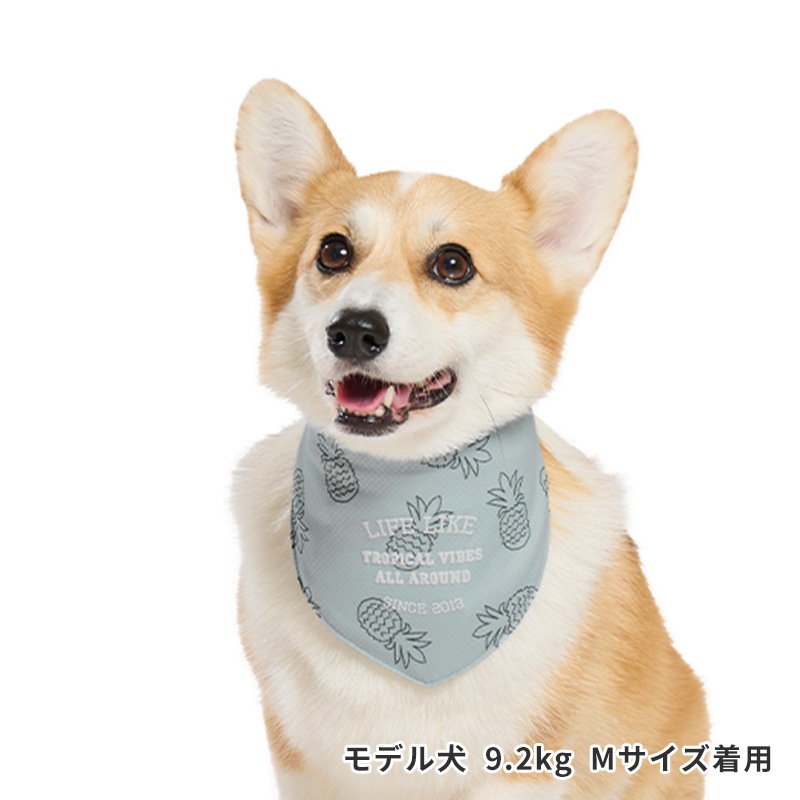 サマーステッチプリントバンダナ