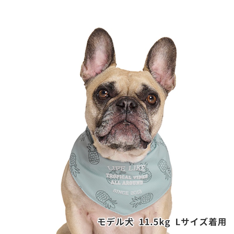 サマーステッチプリントバンダナ