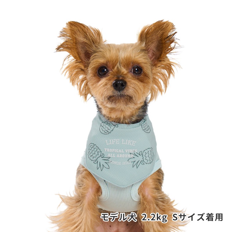 サマーステッチプリントバンダナ