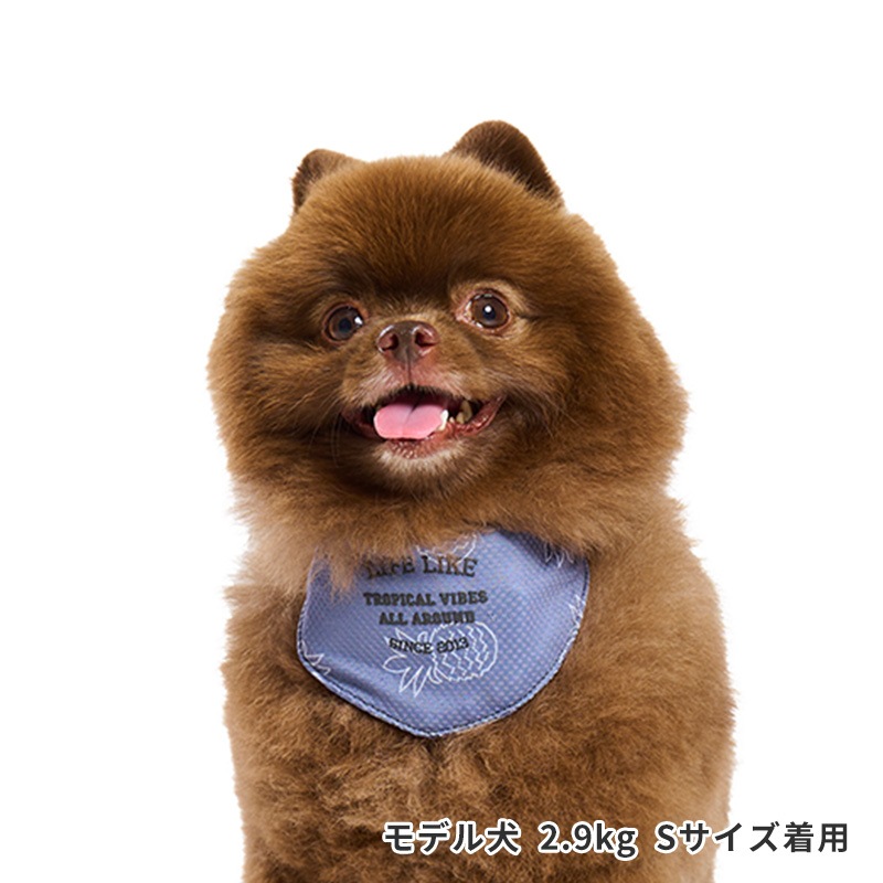 サマーステッチプリントバンダナ