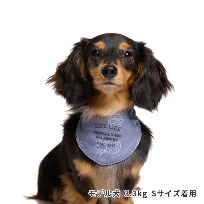 サマーステッチプリントバンダナ