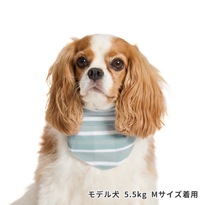 サマーステッチプリントバンダナ