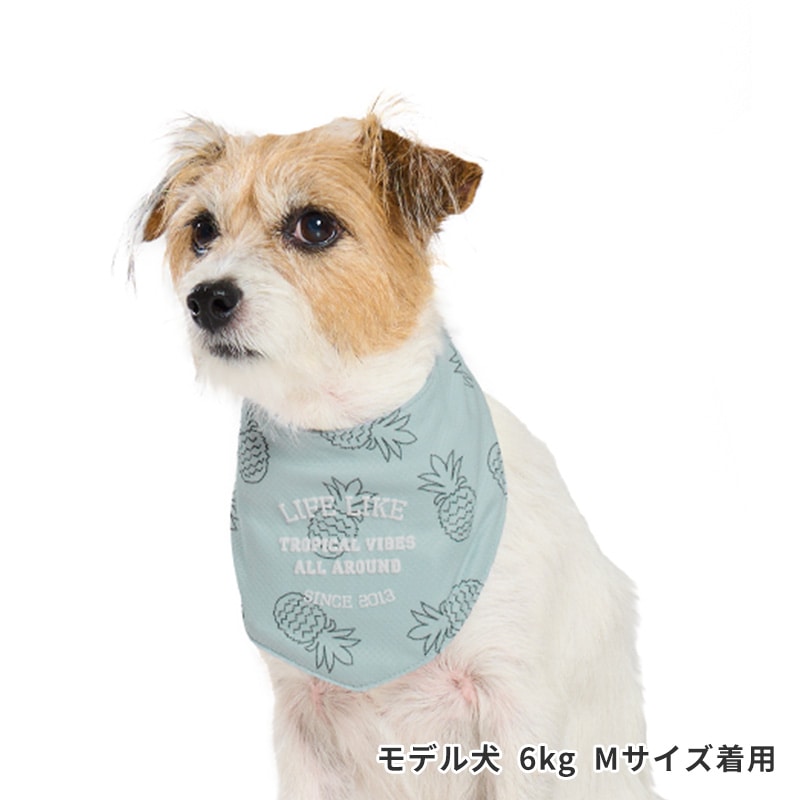 サマーステッチプリントバンダナ