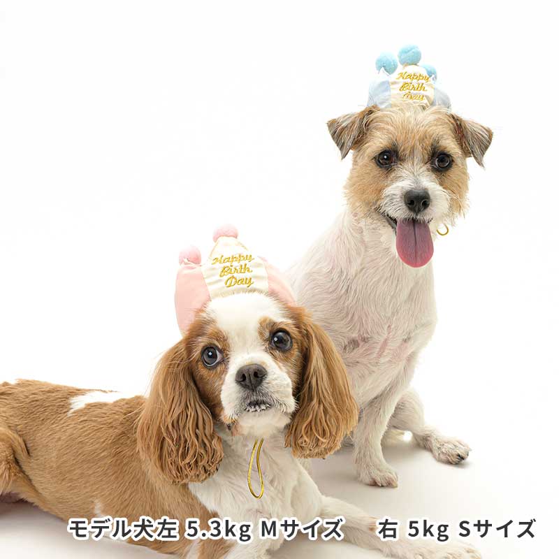 プレミアムバースデークラウン