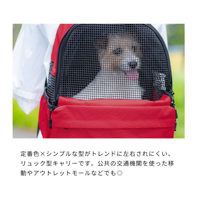 デイパックキャリー