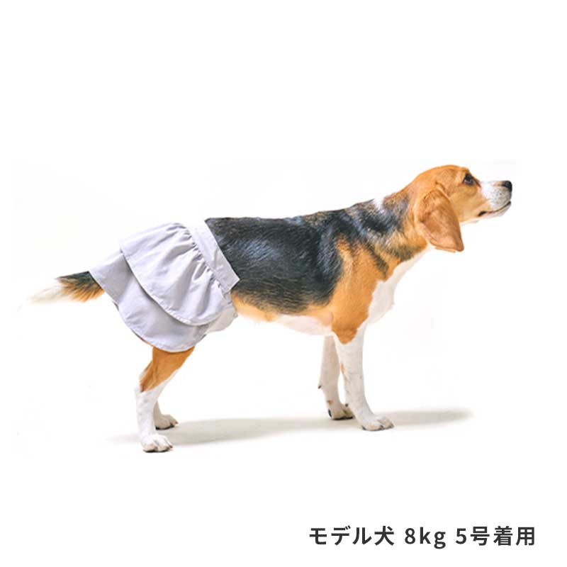 サニタリーフリルスカート
