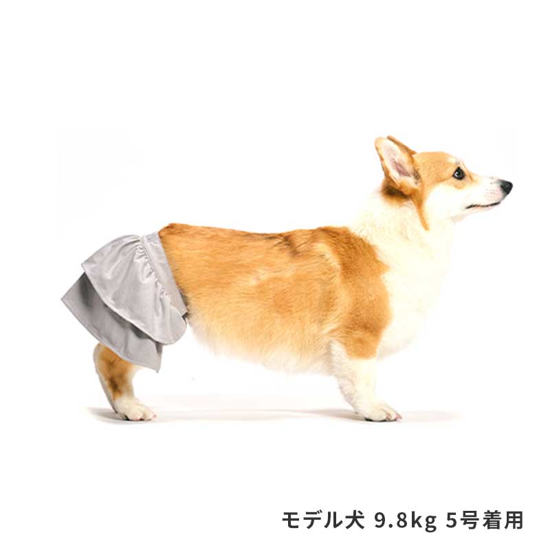 サニタリーフリルスカート