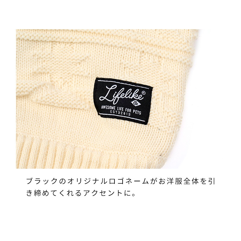 オルテガカウチン