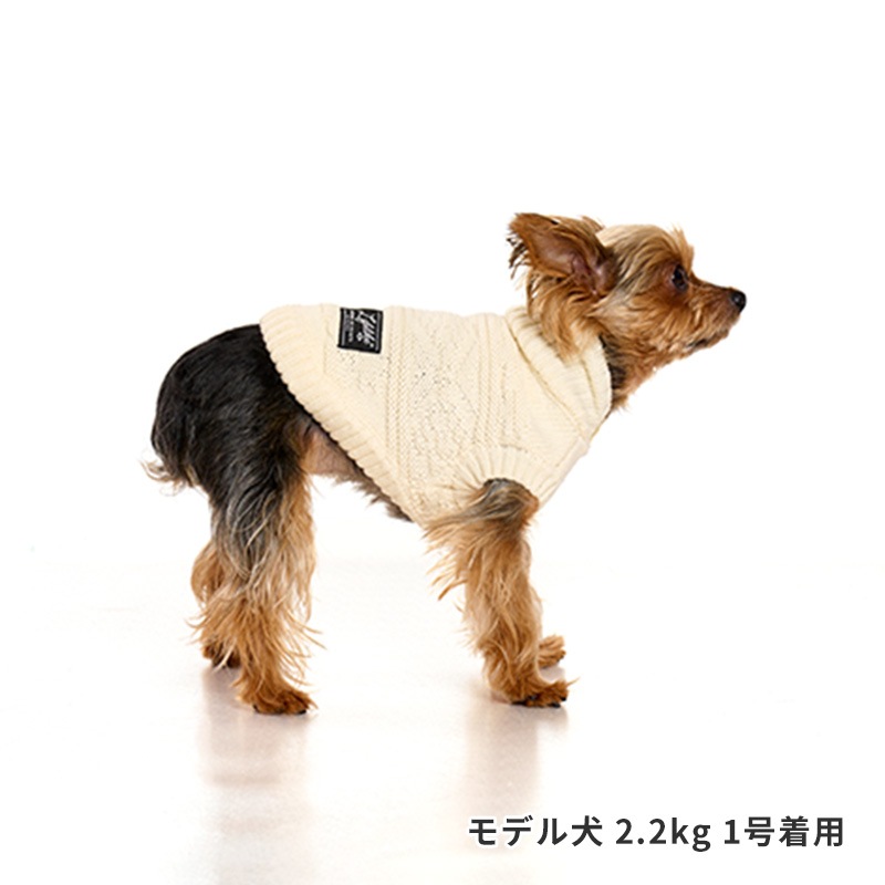 オルテガカウチン