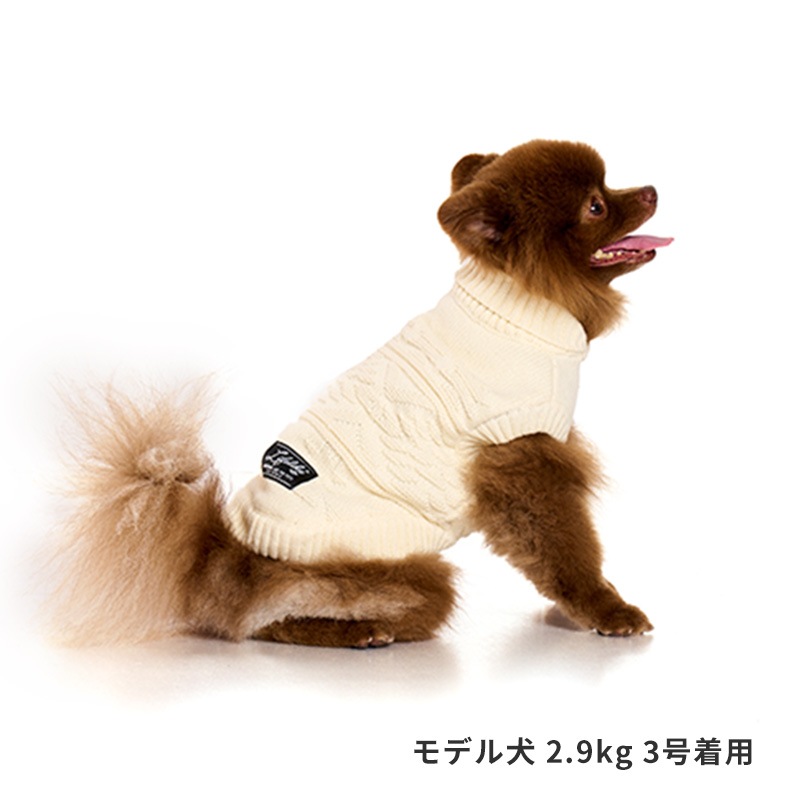 オルテガカウチン