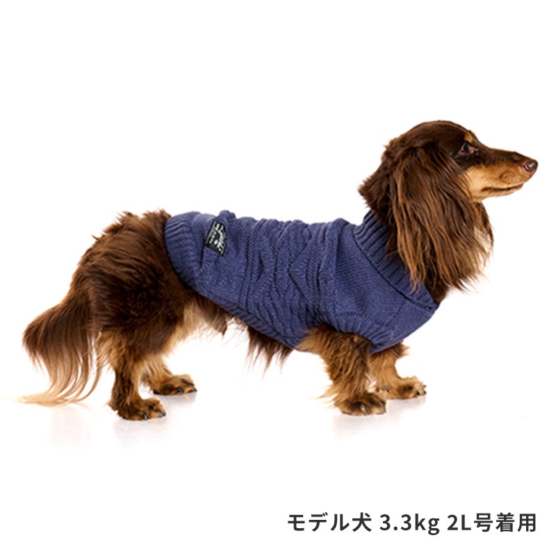 オルテガカウチン