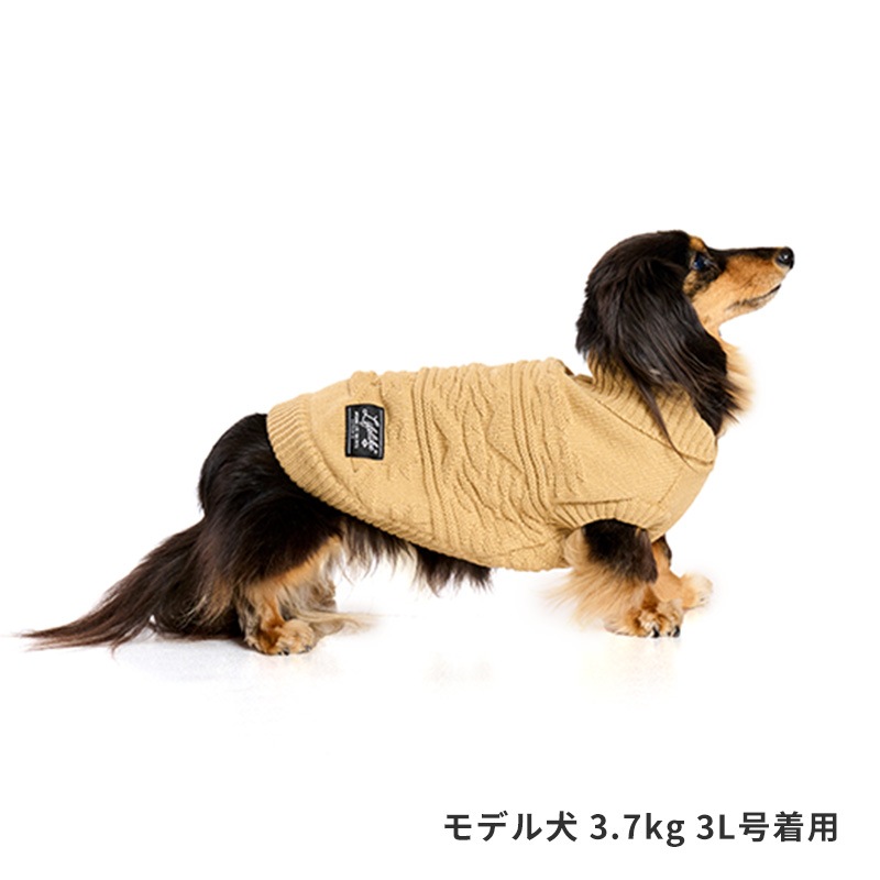 オルテガカウチン