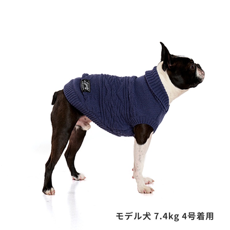 オルテガカウチン