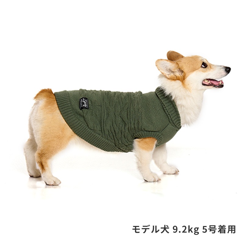 オルテガカウチン