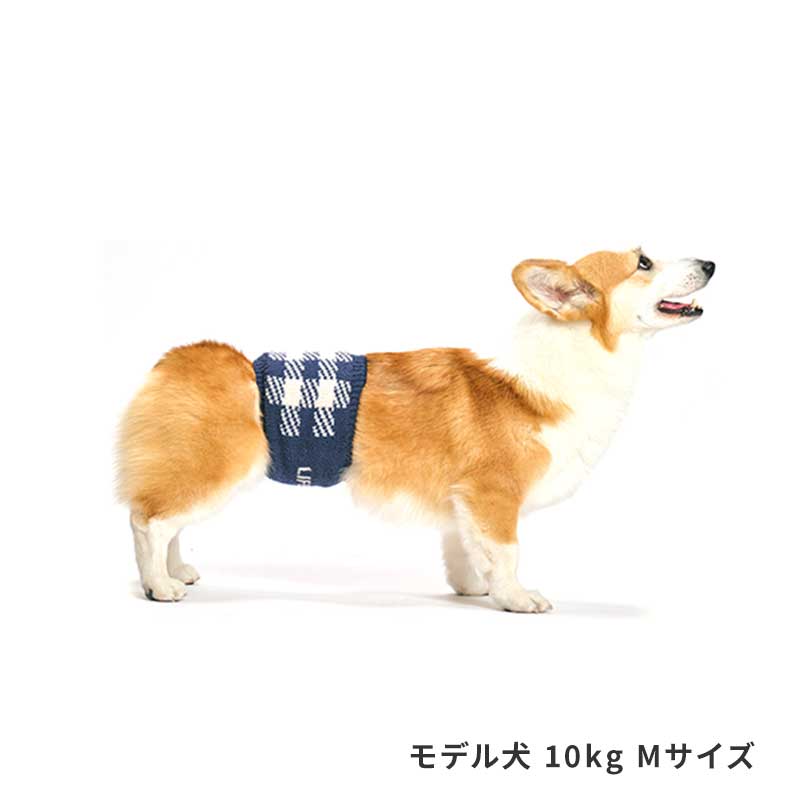 ブロックチェックはらまき