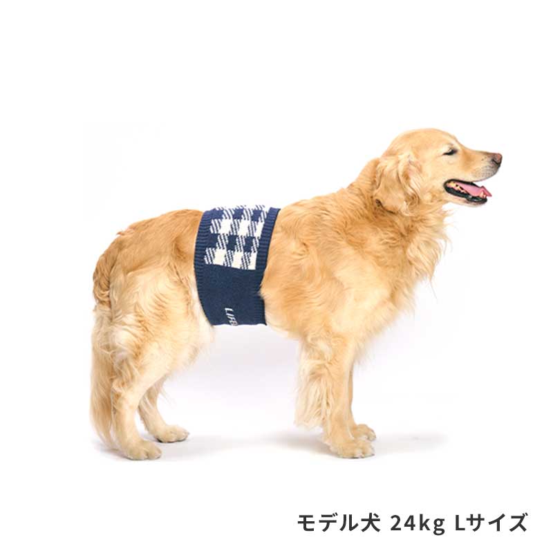 ブロックチェックはらまき