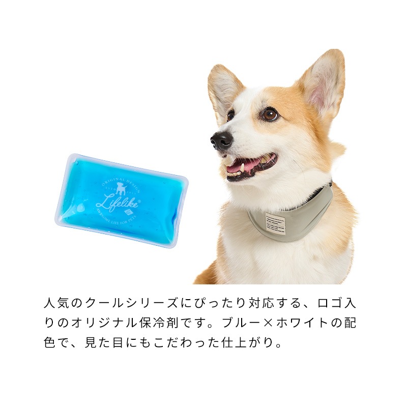 ロゴアイスパック
