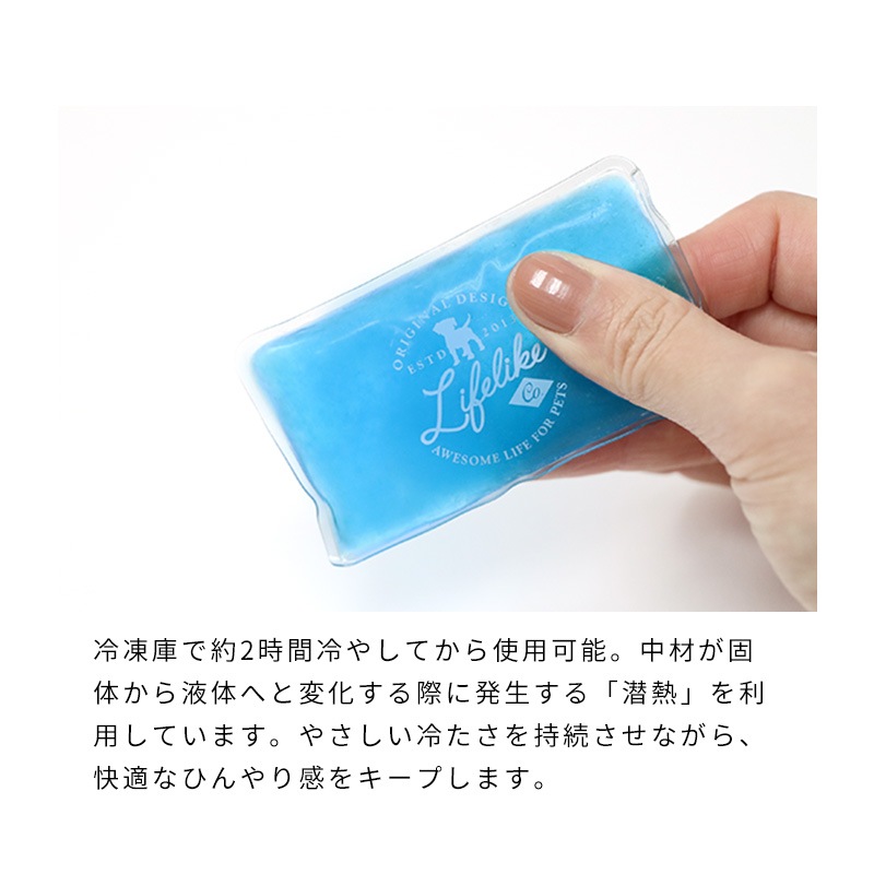 ロゴアイスパック